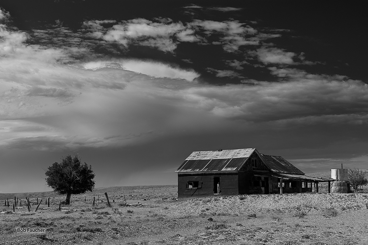 This dilapidated horse barn is near Steelman's Bright Spot, a "watering hole" for cowboys and anyone else with a thirst for the...