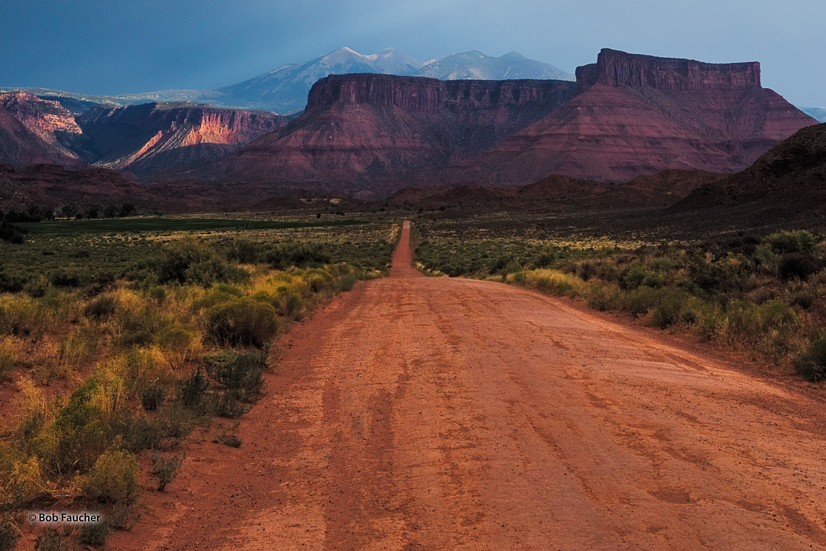 Below the snow-capped La Sal mountains, Rose Garden Hill Safari Route (BLM 105) cuts across the Richardson Amphitheter. It is...