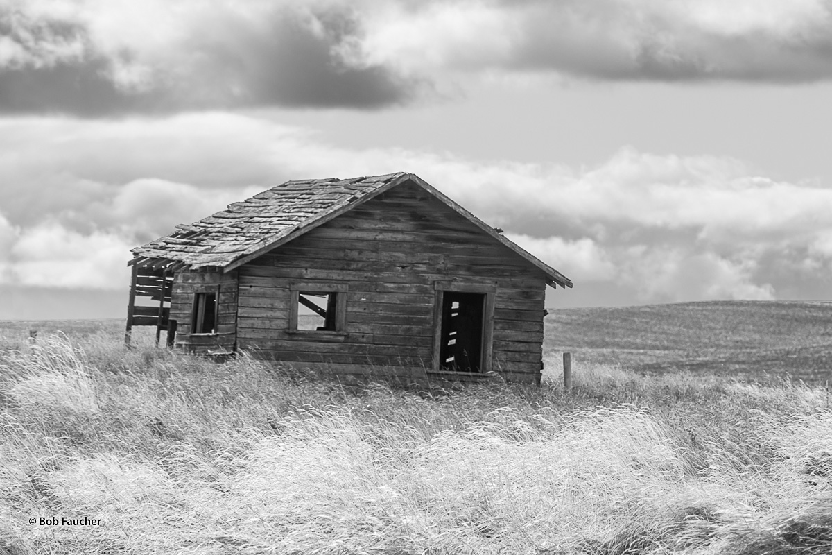 Amidst the rolling hills near Ferdinand, Idaho, a small farm outbuilding sucumbs to neglect