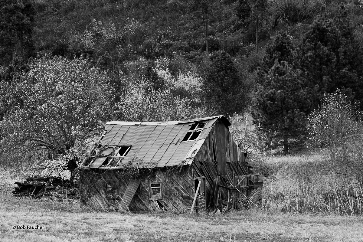 A derelict building continues along its route to ineviable collapse.