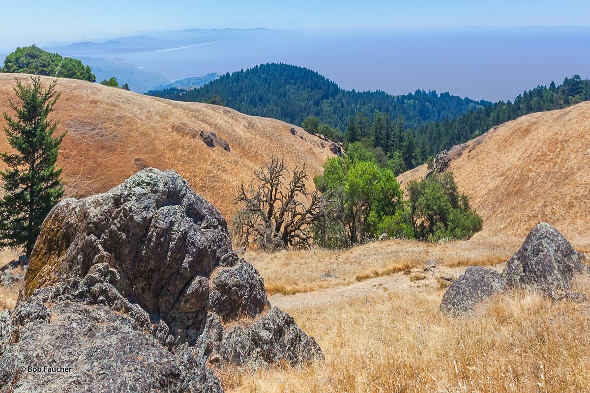 The relatively steep descent from Mt. Tamalpais to Stinson Beach provides a commanding view of the California coastline, extending...