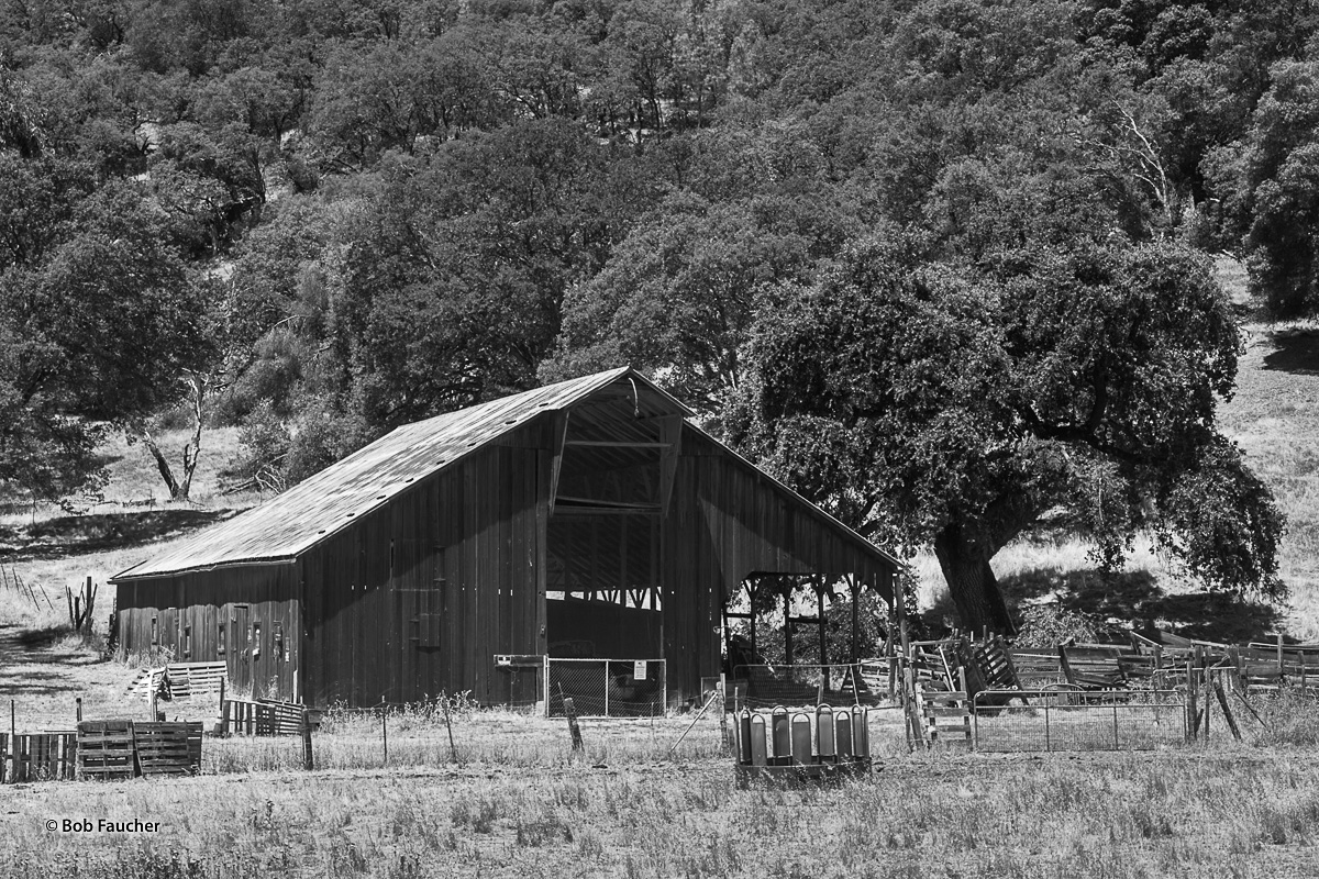 Clearlake Oaks is a small town in Lake County, California. This old barn is a testament to the more recent history of the area...
