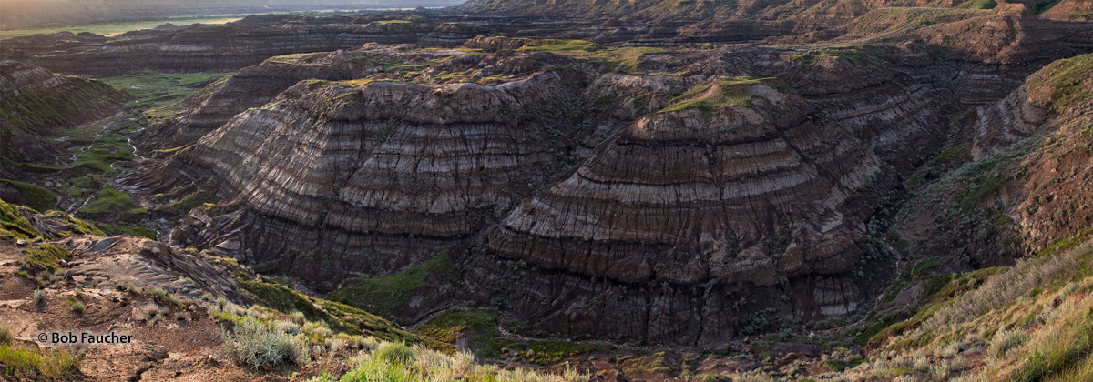 Near the town of Drumheller, the rolling prairie suddenly parts to reveal one of Alberta's natural wonders: Horseshoe Canyon....