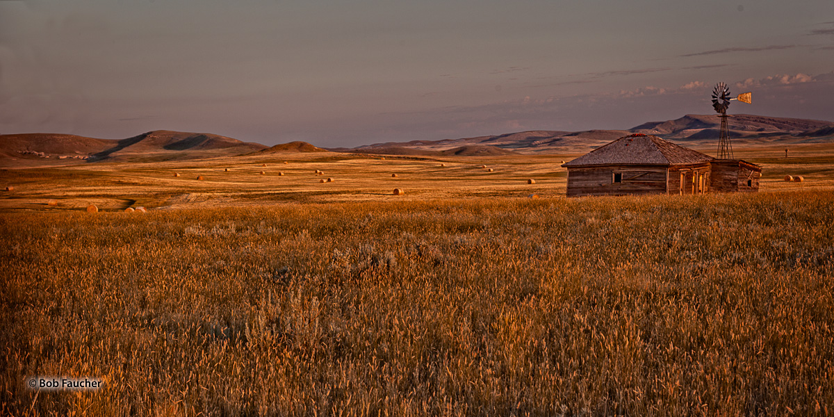 Glorious Golden Hour light falls on a recently harvested field in Montana, highlighting the rolls of hay, a windmill and a worker...