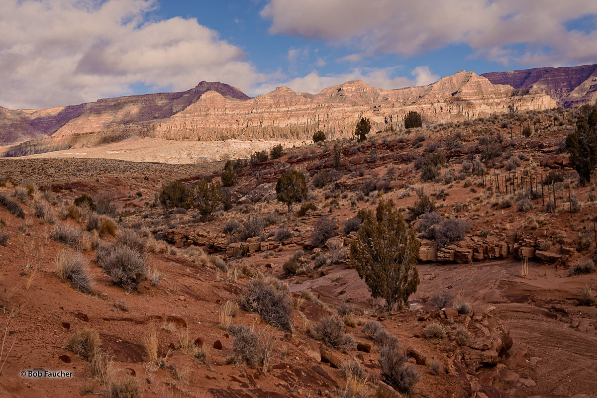 An unmarked trailhead that will lead to Birthday Arch.