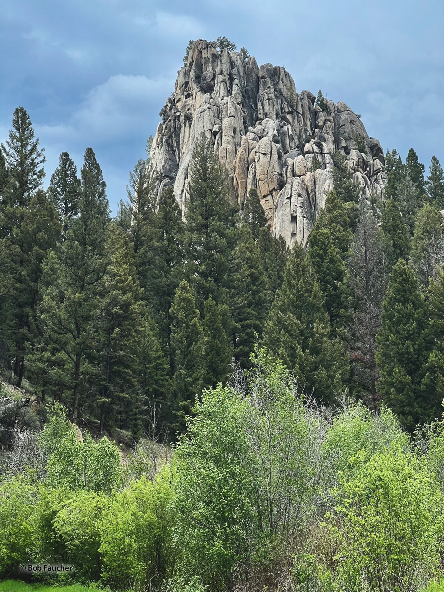 The Humbug Spires Wilderness Study Area along Moose Creek Road, Montana, features over 50 towering quartz spires ranging from...