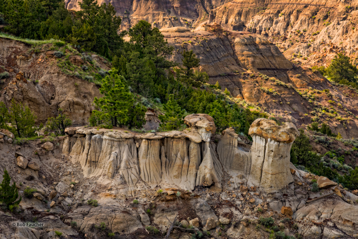 Caprocks Badlands and sandstone sculpture displays are found throughout Montana east of the mountains. Makoshika State Park, on the south...
