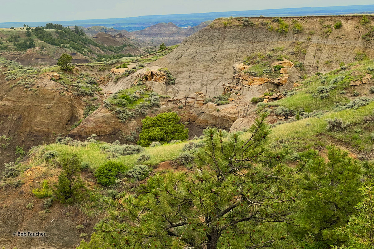 Cains Coulee Badlands and sandstone sculpture displays are found throughout Montana east of the mountains. Makoshika State Park, on the south...