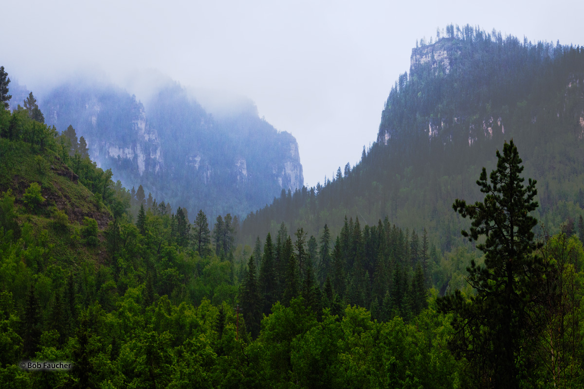 Fog-covered Monolith This hidden jewel of nature has it all—rugged cliffs, the sparkling waters of Spearfish Creek, a rich vegetation dominated...