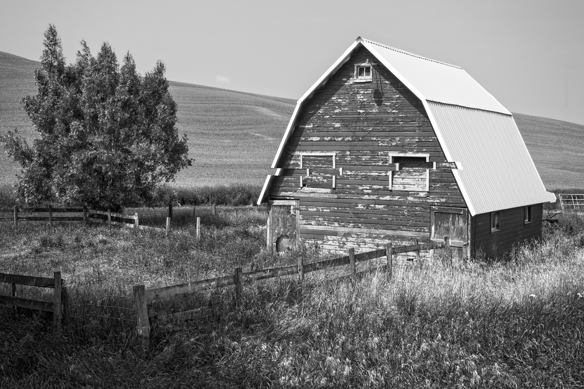 Encountered on Parvin Road, near Colfax, Washington, a barn with a Gambrel roof and adjacent corral exhibit the need for a little...