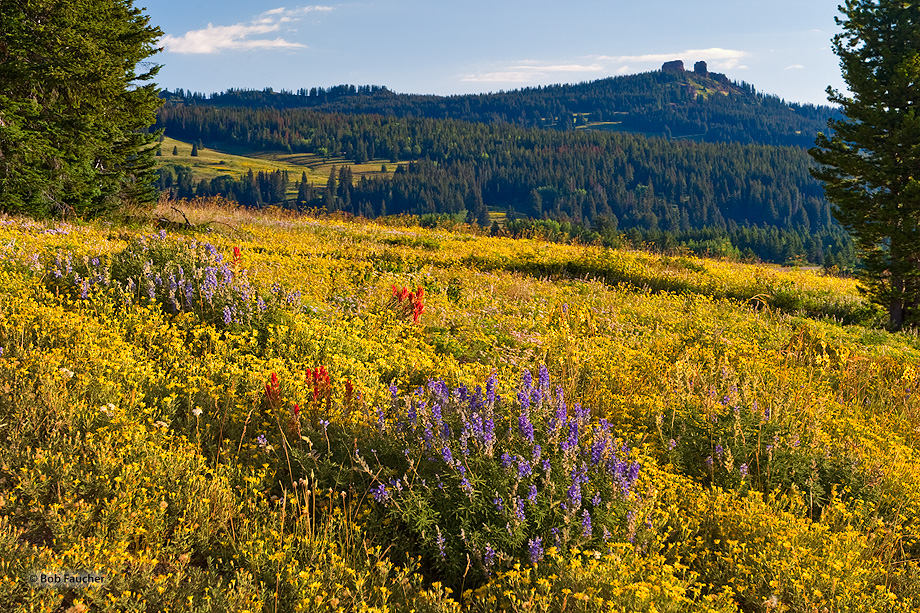 Rabbit Ears Pass straddles the Continental Divide at the southern end of the Park Range. The name is taken from nearby Rabbit...