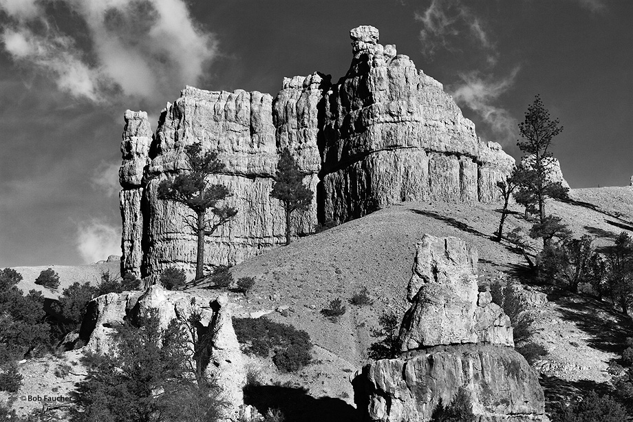 Sandstone buttes rise high above the piles of eroded sand dotted with conifers