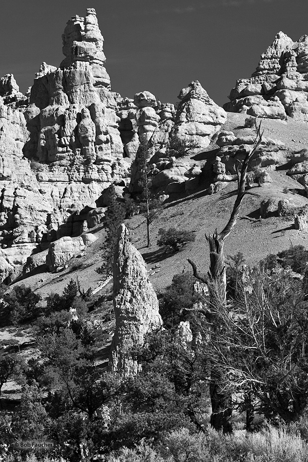 The rocks in Red Canyon are eroded into the familiar pinnacles, spires, columns and hoodoos also found in Bryce Canyon a few...