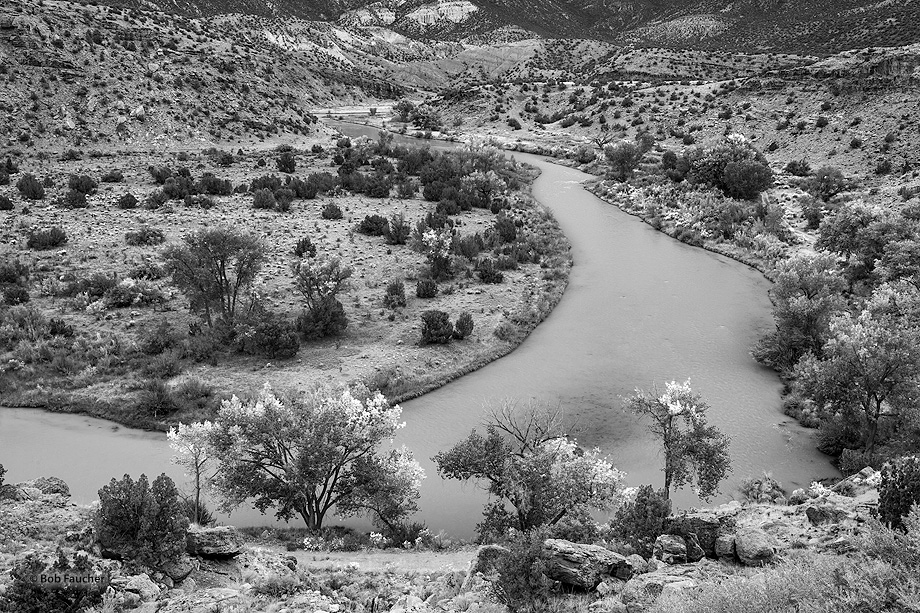 Below Abiquiu Dam, the Rio Chama winds through Chama Canyon on its way to join the Rio Grande at Espanola