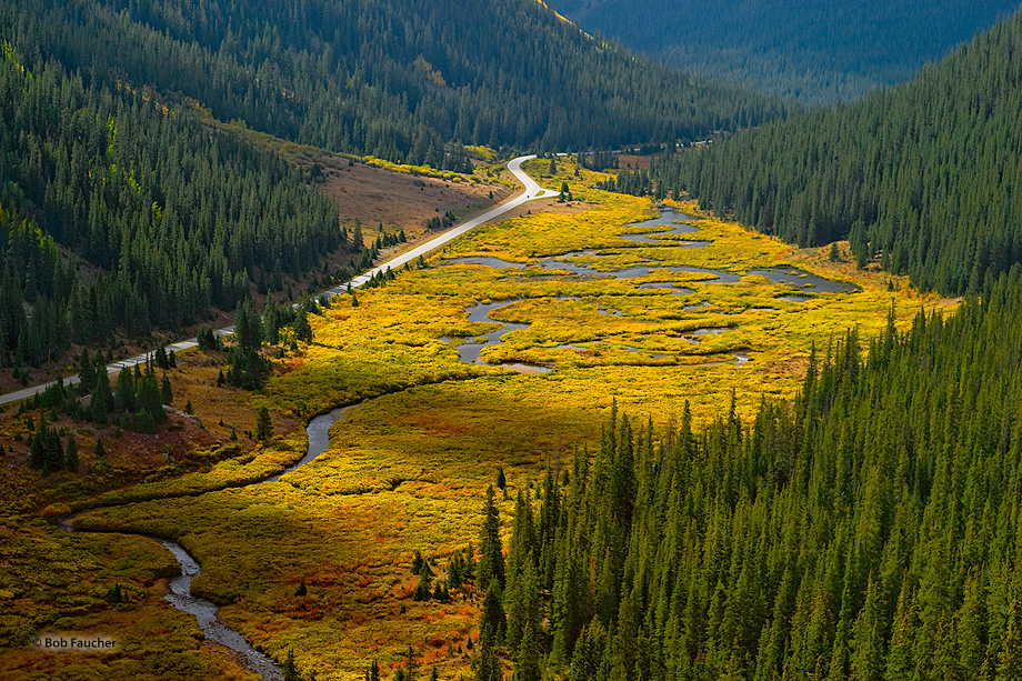 Early autumn morning light floods the Roaring Fork River Valley, east of Independence Pass. The willows and other deciduous foliage...