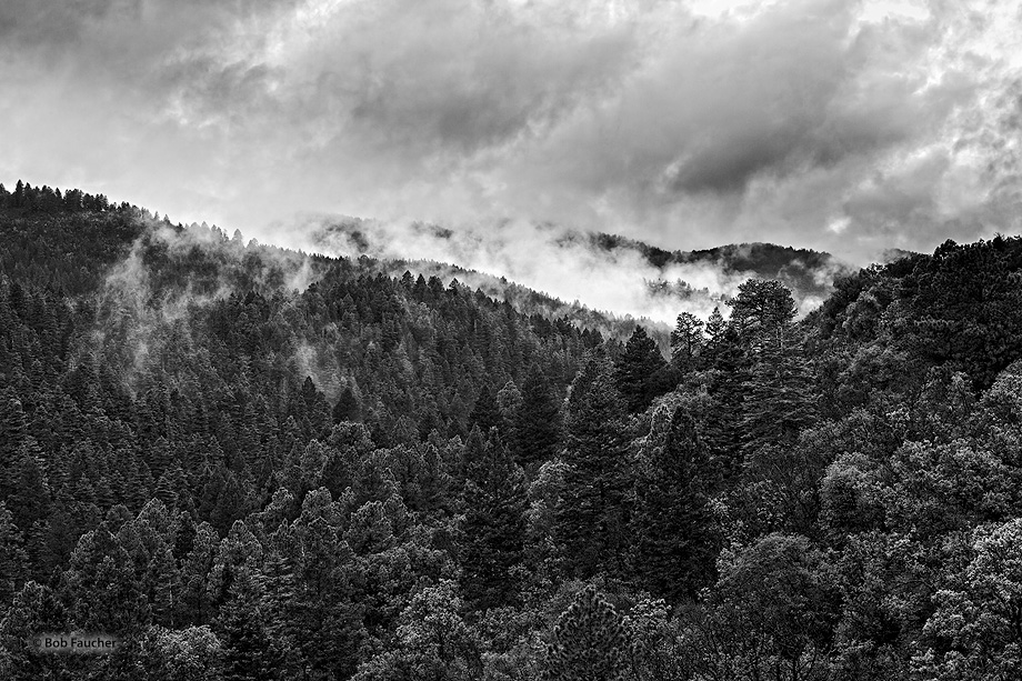 Heavy, low clouds engulf the Sacramento mountains of Lincoln NF in New Mexico