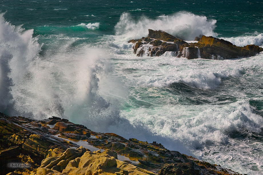 Pounding surf at Salt Point