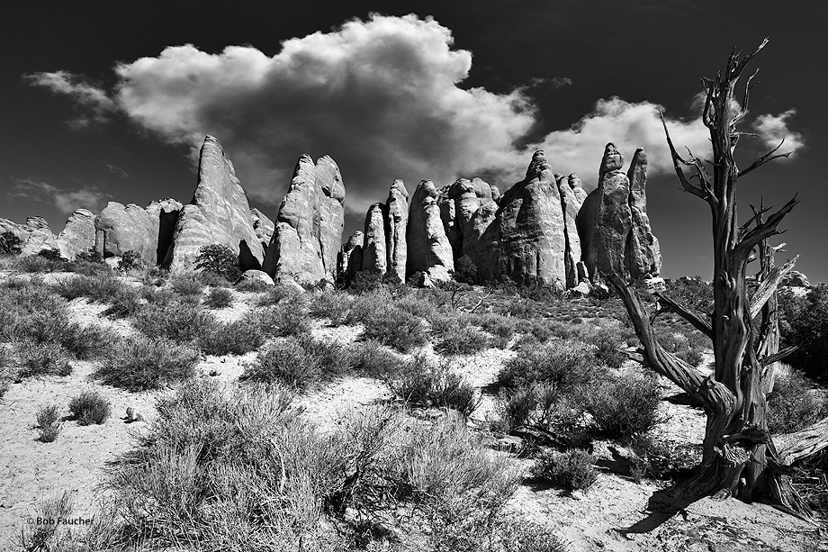 An entire world of monolith sandstone fins and towering narrow sandstone canyons awaits within the Fiery Furnace.