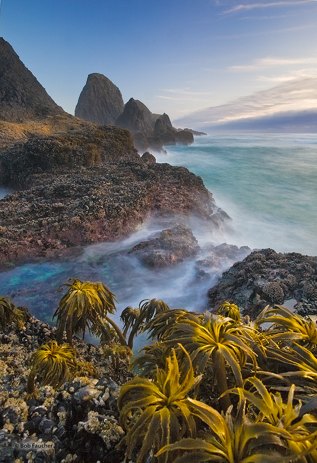 Seal Rock State Wayside has large off-shore rock formations which are the habitat of seals, sea lions, sea birds and other marine...