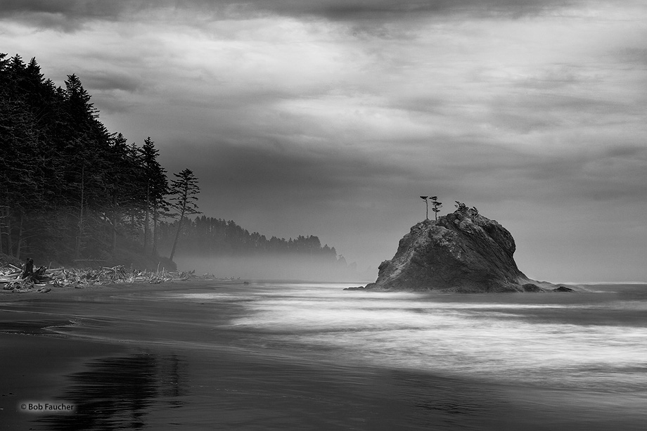Low clouds and fog surround a lone sea stack on a moonlit evening along the rugged Washington coast.