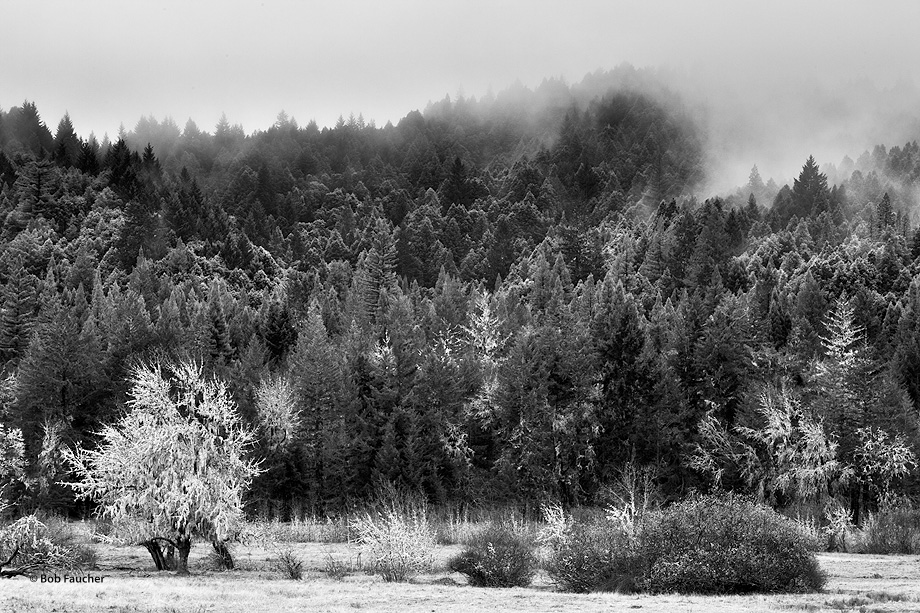 Low-lying clouds and fog linger on the wooded hills forming the valley accentuating the layers of vegetation