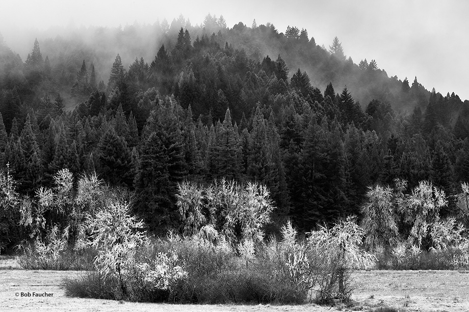 Low-lying clouds and fog linger on the wooded hills forming the valley accentuating the layers of vegetation