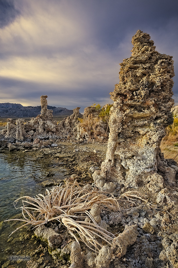 Early morning light on a tufa with the skeleton of rabbitbrush at it's base