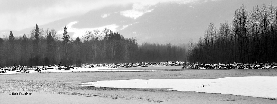 The Sauk River drains an area of the high Cascade Range in the watershed of Puget Sound north of Seattle. Winter snows in the...