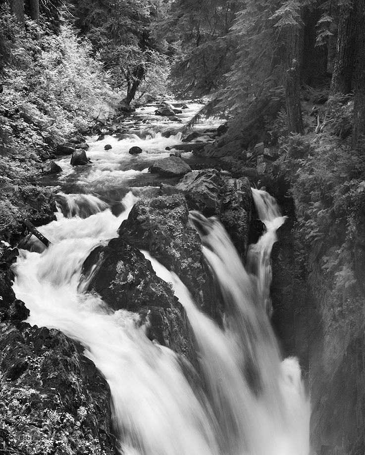 Set within the thick temperate rain forest of the Olympic Mountains, the Sol Duc River creates one of the more uniquely shaped...