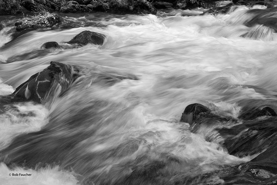 High runoff from the Olympic Mountains swells the Sol Duc River into torrents that rush over the rocky river bottom on its journey...