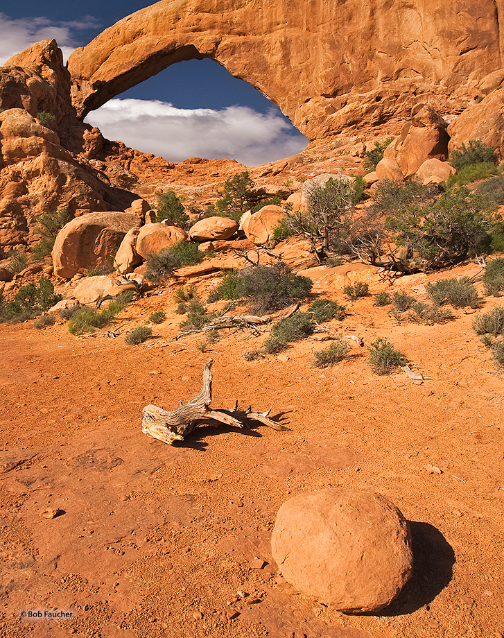 The South Window with morning sun