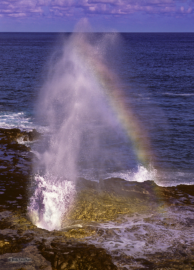 Spouting Horn is located in the Koloa district on the southern coast of Kauai. This area of Kauai is known for its crashing waves...