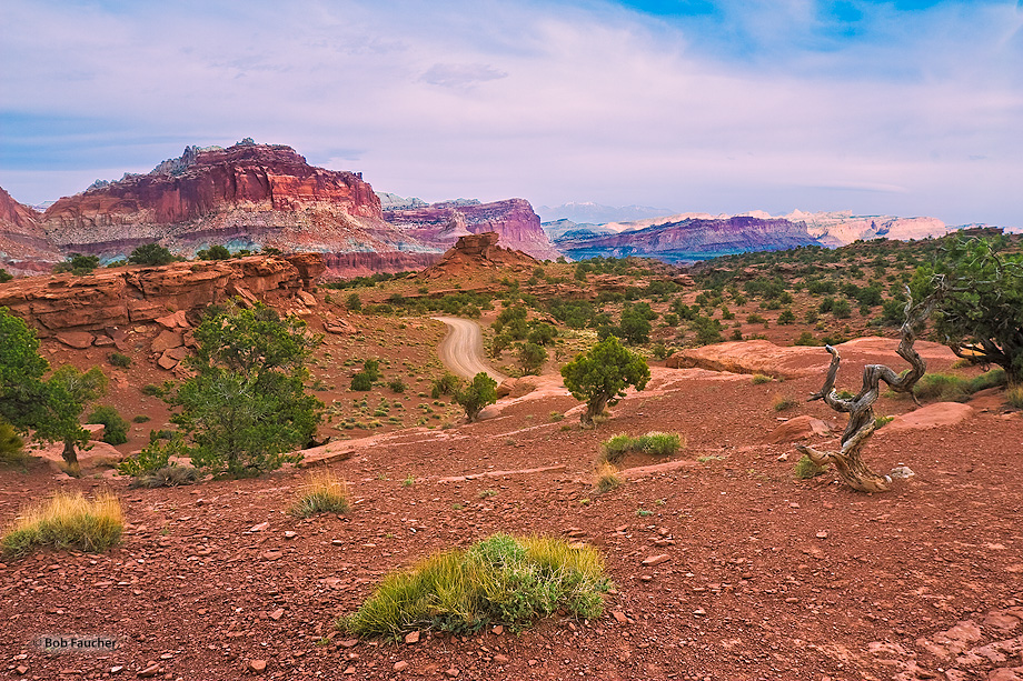 The view down Spring Canyon east, into Capitol Reef, from Panorama Point on a late afternoon
