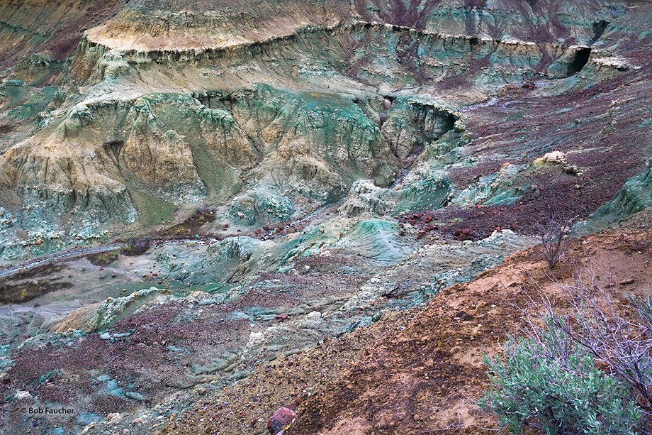 A trail skirts above a small basin of blue-green claystone. The formation contains fossils of animals that lived here 25 to 30...
