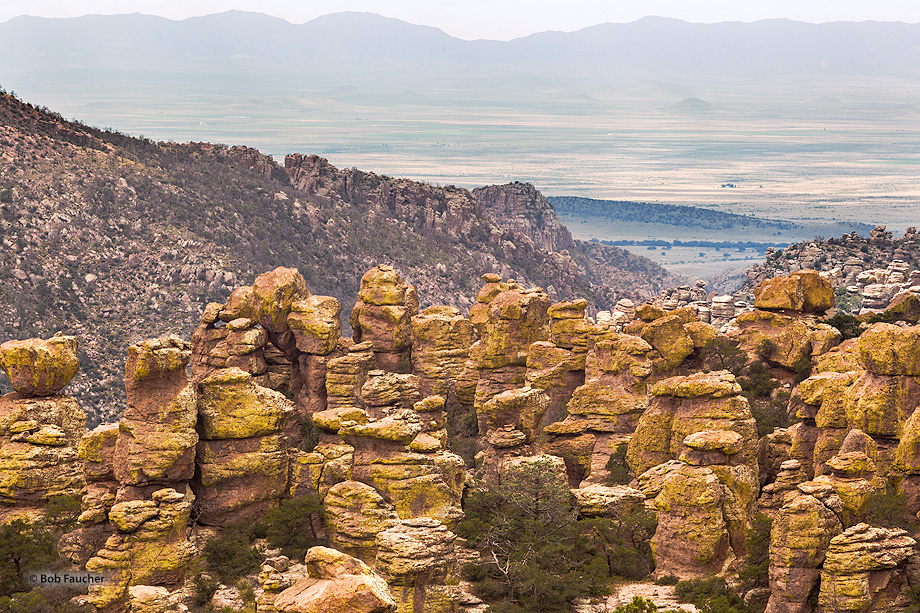 The Sulphur Springs Valley is the large flatland to the west of the Chiricahua Massive. From north to south at the west of the...