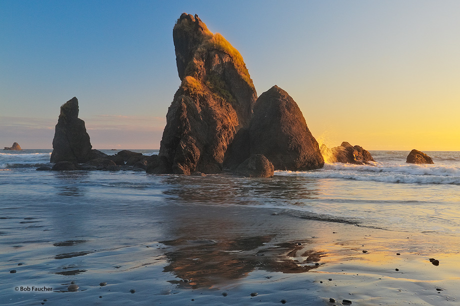 As their reflecton is cast on the wet sand at low tide at sunset, sea stacks are battered by the surf along the rugged Washington...