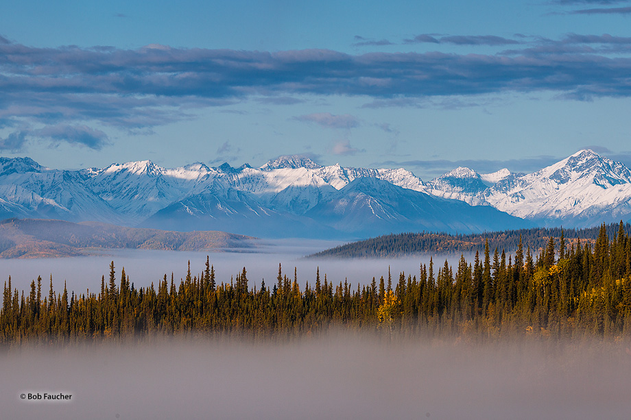 On an early Fall morning the Tanana River Valley and Tetlin Lake, which lie within Tetlin National Wildlife Refuge, are shrouded...