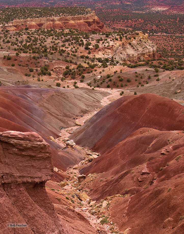 The Land of the Sleeping Rainbow EscalanteGrand Staircase Robert