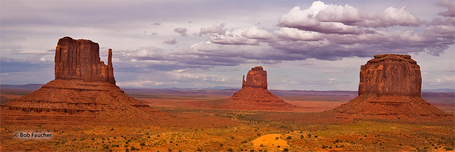 East and West Mitten and Merrick Buttes, seen here in afternoon light, are distinctive geological features found within Monument...