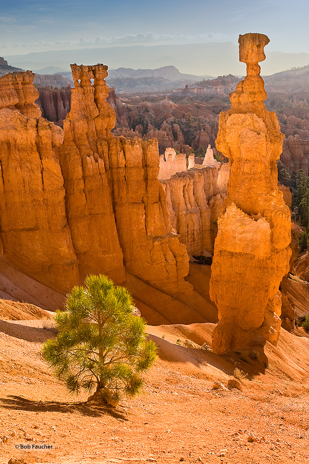 The iconic hoodoo of Bryce Canyon