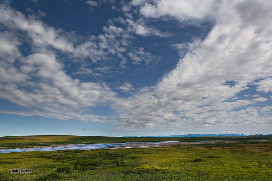 Toolik River is a fine example of a beaded tundra stream. Channels with regularly spaced deep and elliptical pools connected...