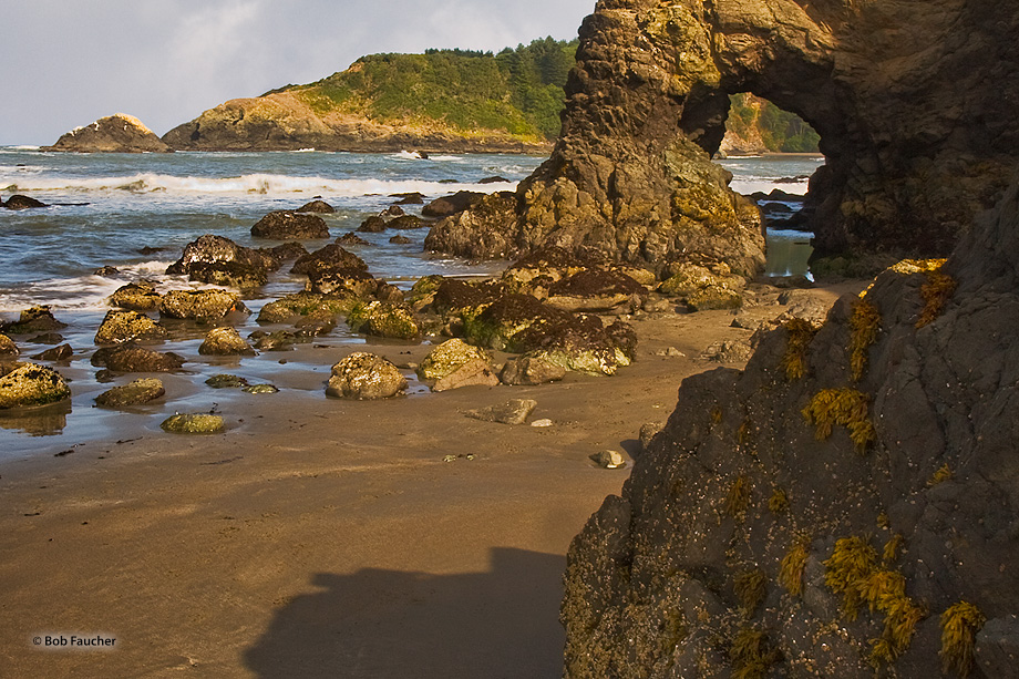 A small arch, only accessible at low tide, has formed on the headlands of Trinidad Beach.