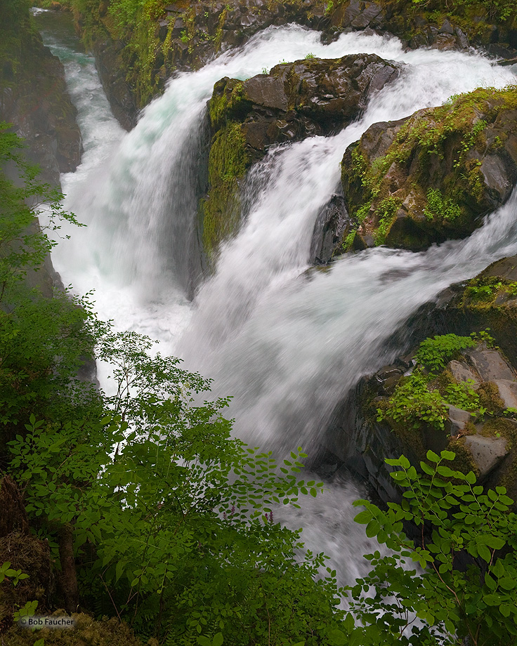 Set within the thick temperate rain forest of the Olympic Mountains, the Sol Duc River creates one of the more uniquely shaped...