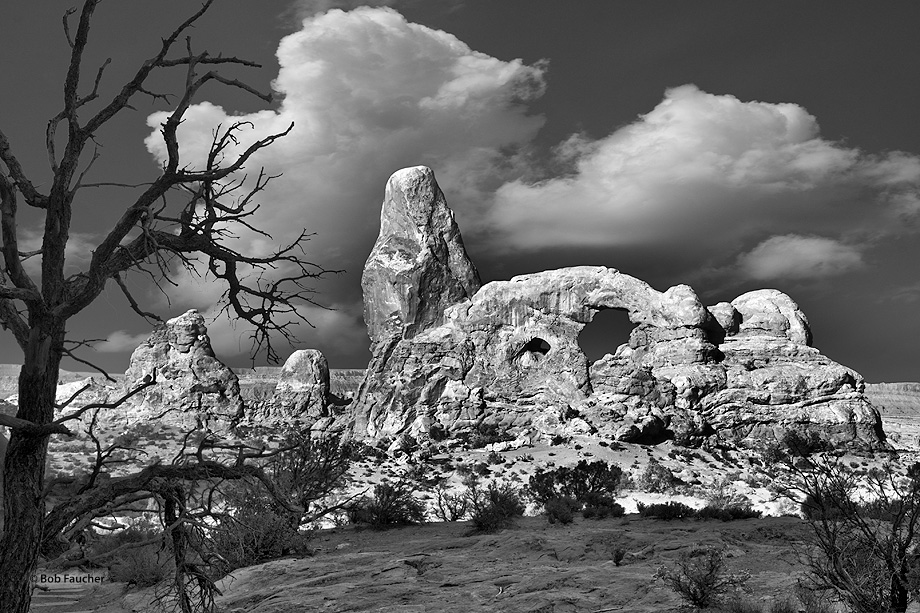 The Windows Trail passes in front of this arch, rising from the valley floor on the west side of South Window. It is more commonly...