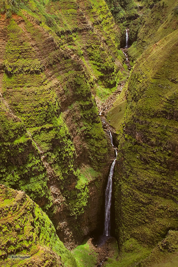 Waipo'o Falls is a fantastic waterfall on Kokee Stream dropping 800 ft. in two tiers. It is located in the heart of the Waimea...