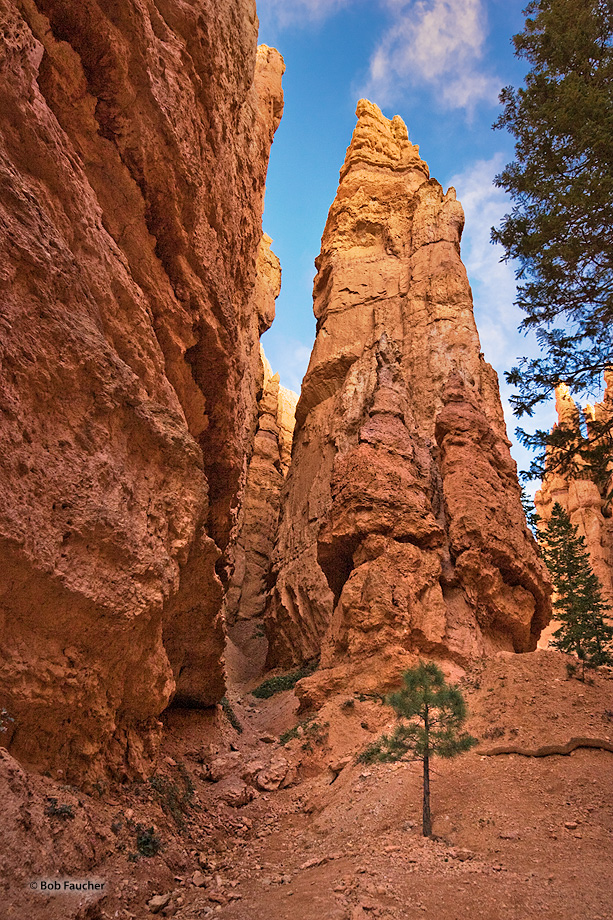 Towering hoodoos and walls along the Navajo Loop Trail give a perspective reminiscent of New York's Wall Street.