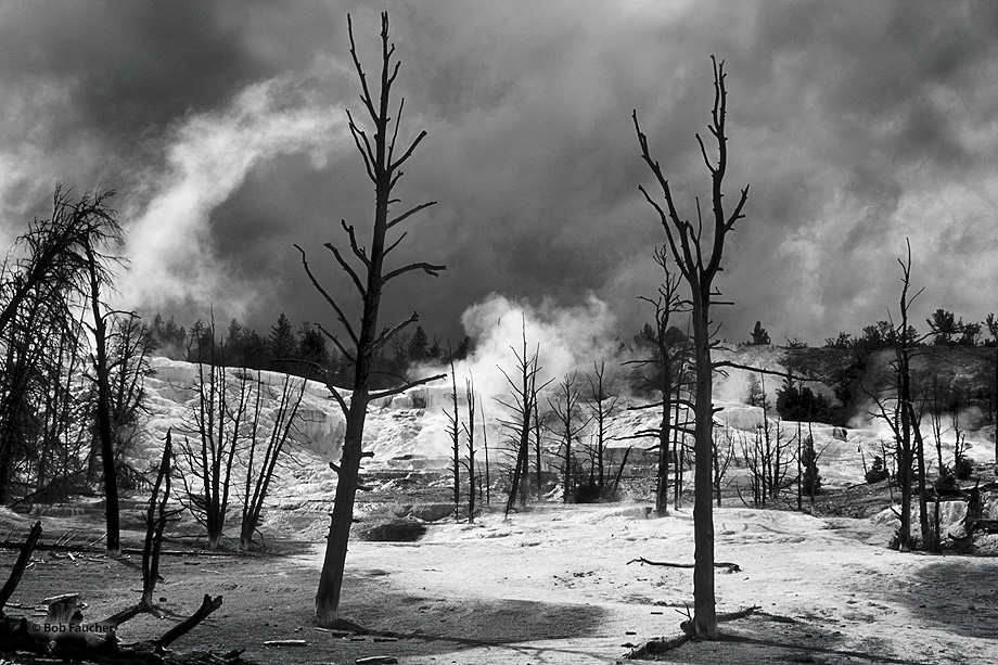 Steam, water vapor, rises from the pools and cascades of the numerous thermal features within this part of Yellowstone NP