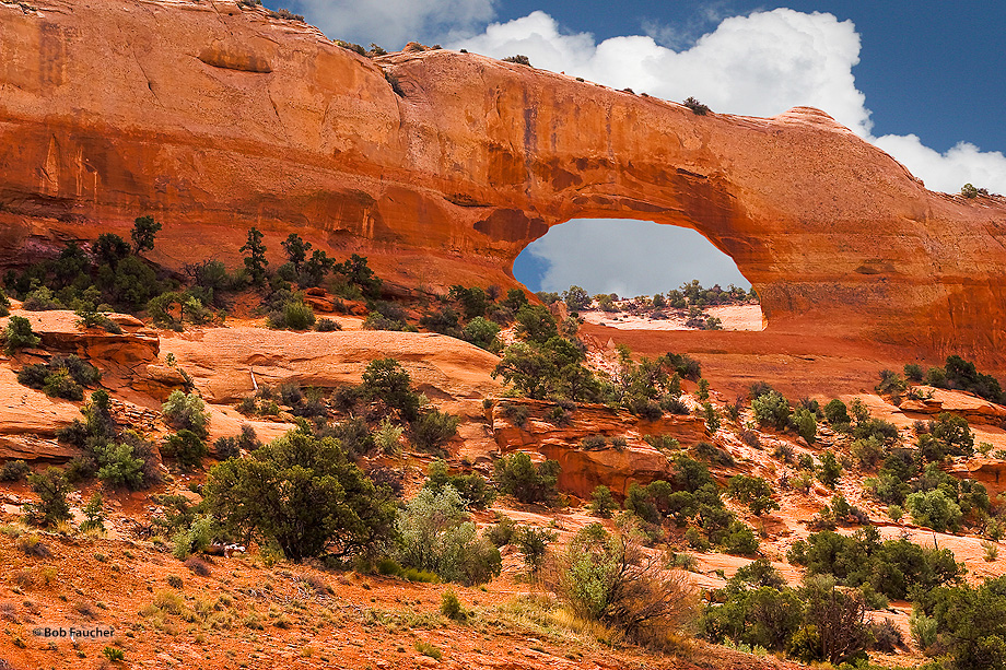 With a span of 91 feet and height of 46 feet, this sandstone arch is readily accessible and easily explored